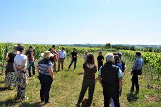 Terrain d’entente et d’expérimentation 