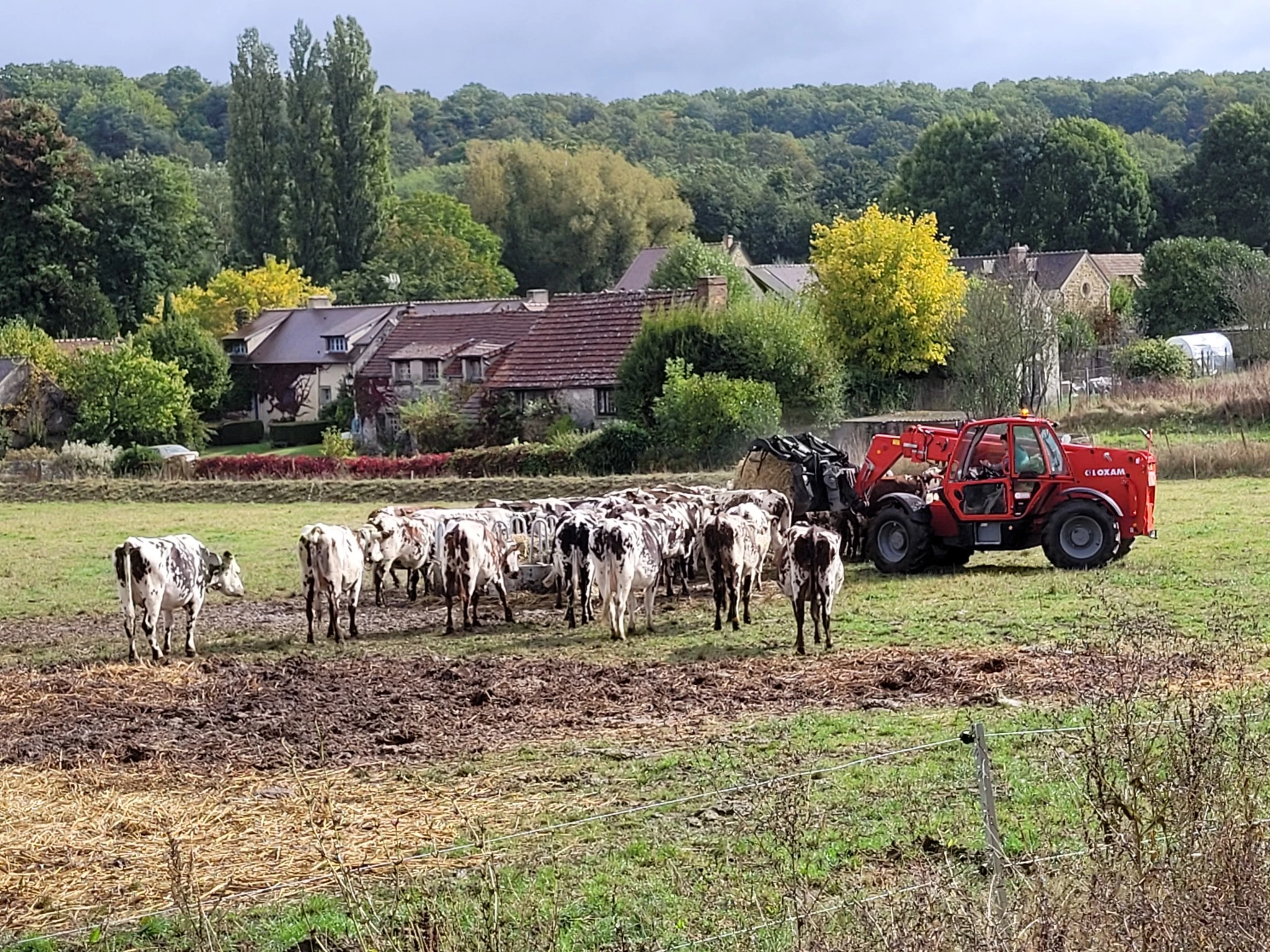 Une ferme pilote