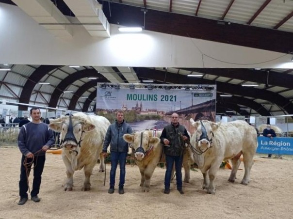 Du succès pour le Rhône aux concours de Moulins