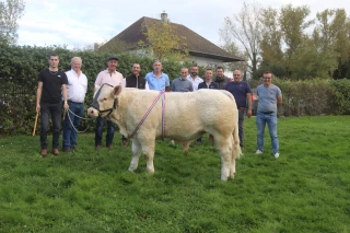 Des éleveurs du Rhône à la Fête du charolais