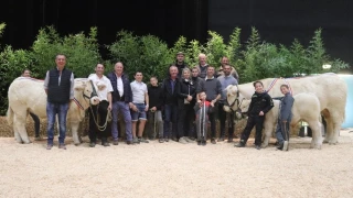 Les Rhodaniens à l’honneur