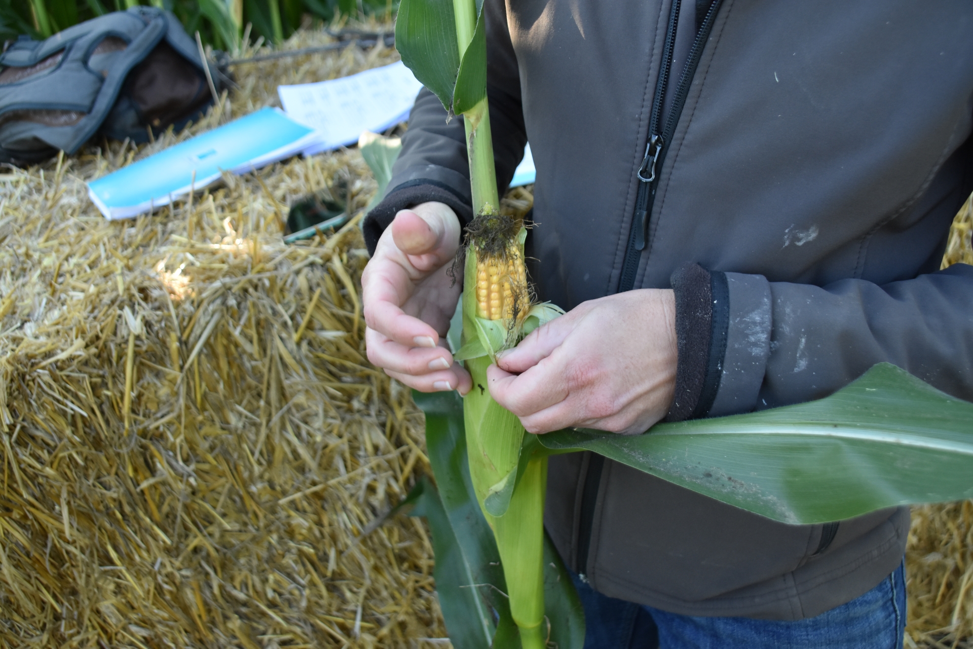 ALBUM PHOTOS : l'analyse de matière sèche de maïs aux Sauvages avec Rhône conseil élevage
