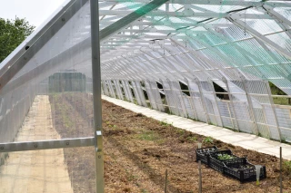 La Métropole inaugure sa première ferme semencière
