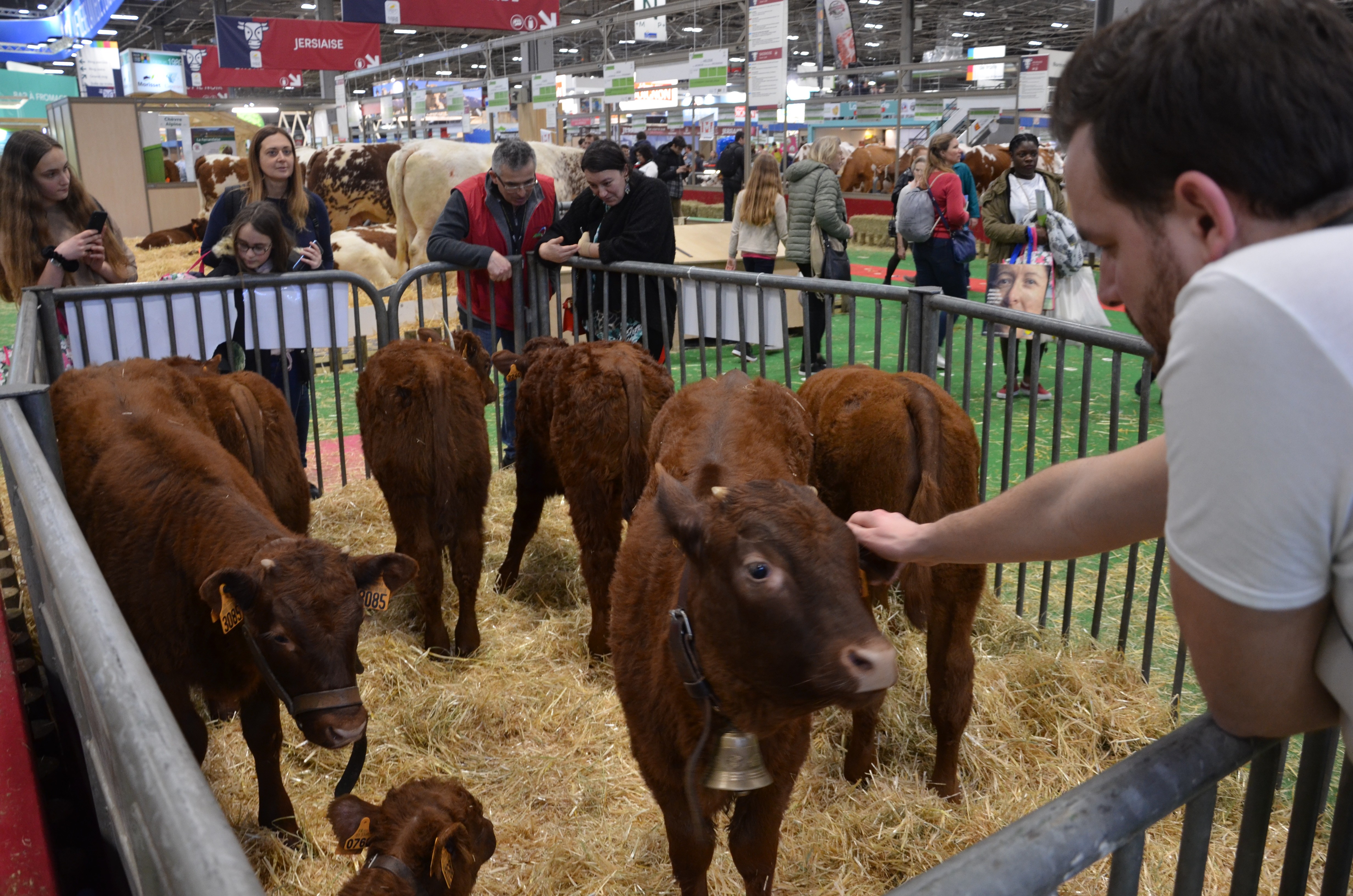 France Télévision célèbrera l'agriculture avec "Nous paysans"