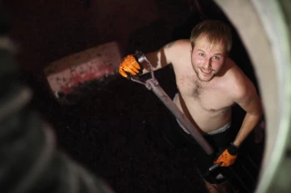 Les viticulteurs veulent une meilleure promotion de leur métier