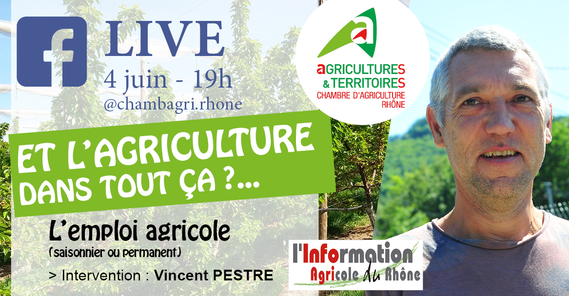 [Facebook live ] Vincent Pestre répond à toutes vos questions sur l'emploi agricole