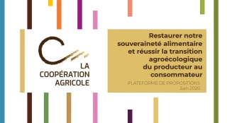 Les coopératives agricoles veulent rebondir