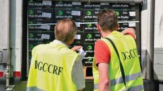 Encadrement des promotions : 576 commerces en dehors des clous en 2019