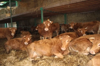 Une production au prix garanti