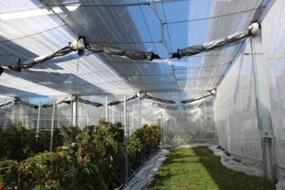 Un démonstrateur agrivoltaïque dynamique au lycée agricole de Lyon-Dardilly