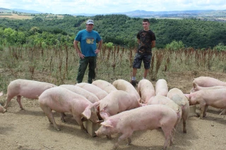 Un point de vente collectif bientôt à Loire-sur-Rhône