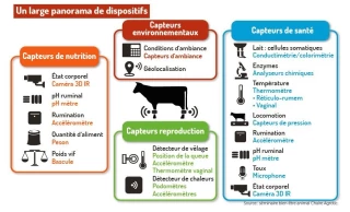 Bien-être de l’éleveur et des animaux : les promesses du numérique