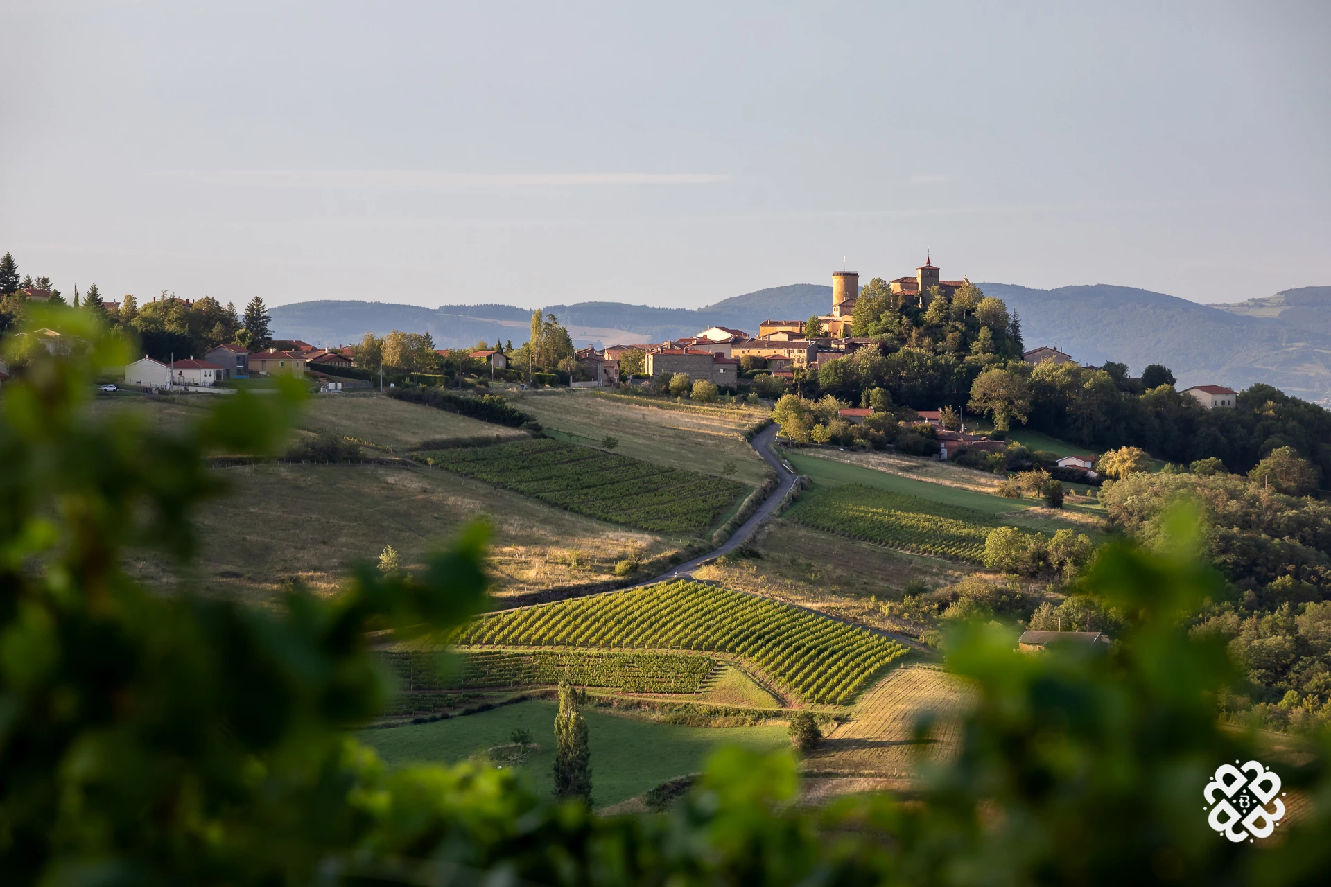Les Wine Tours