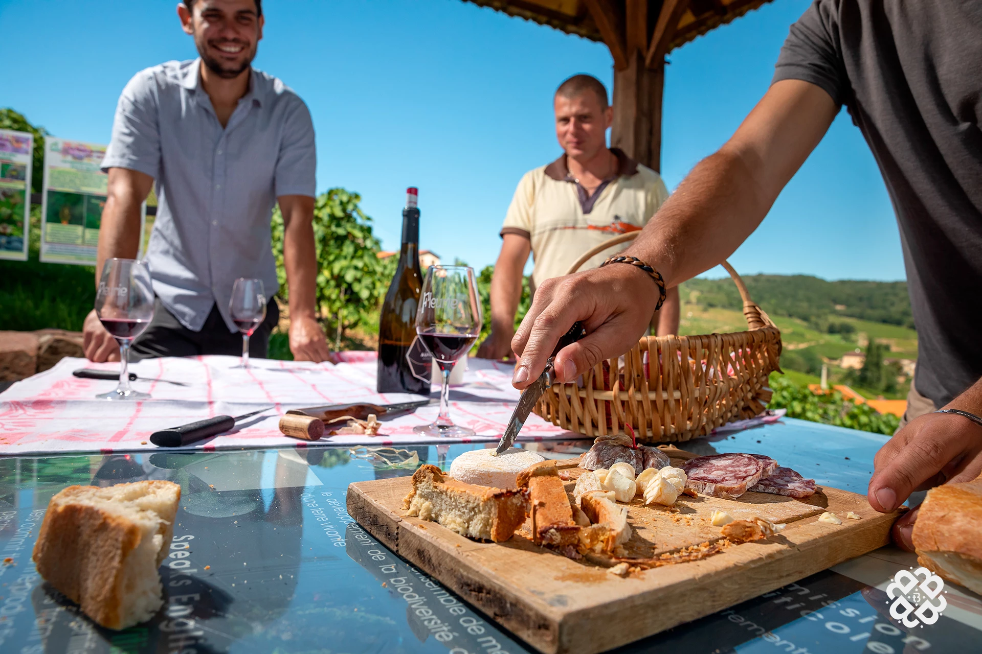 Pique-nique dans les vignes
