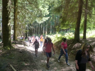 Promenez-vous dans les bois