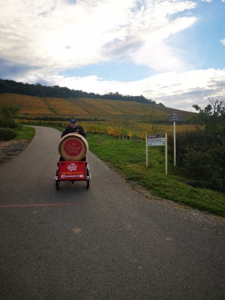 Le tonneau arrivera en triporteur !