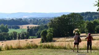 Circuit découverte : Dans les pas de l’agriculture à Colombier Saugnieu