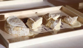 Les meilleurs fromages du concours de Lyon sont....