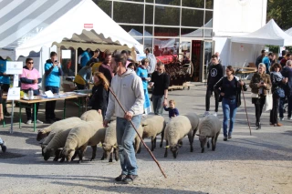 L’agriculture en fête à Limonest