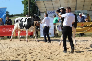Concours d'élevage : Fiers de leurs grandes championnes !