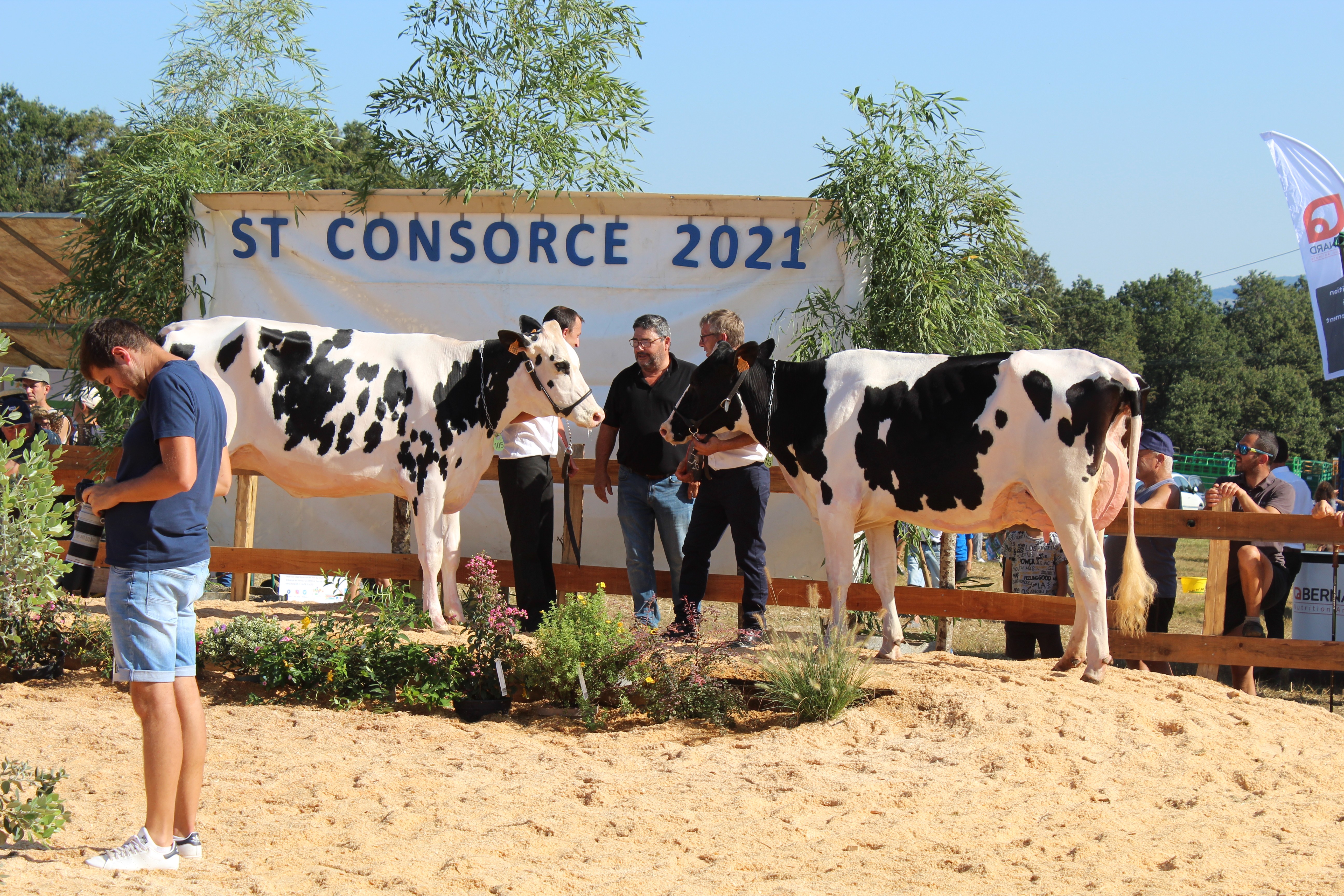 Les retrouvailles approchent