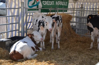 La foire économique les 16, 17 et 18 septembre