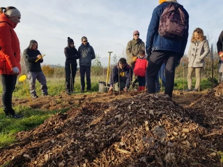 Des haies plantées à plusieurs