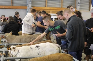 Un concours utile