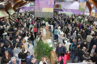 La tradition du marché aux vins toujours vive