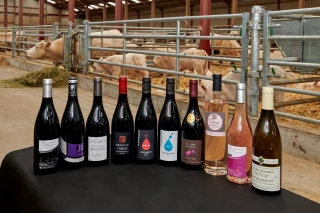 Le Rhône en fanfares au SIA