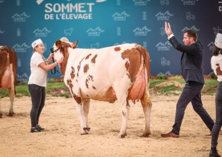 Une belle expérience pour le Gaec Bochard
