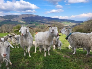 Bon week-end dans les fermes 