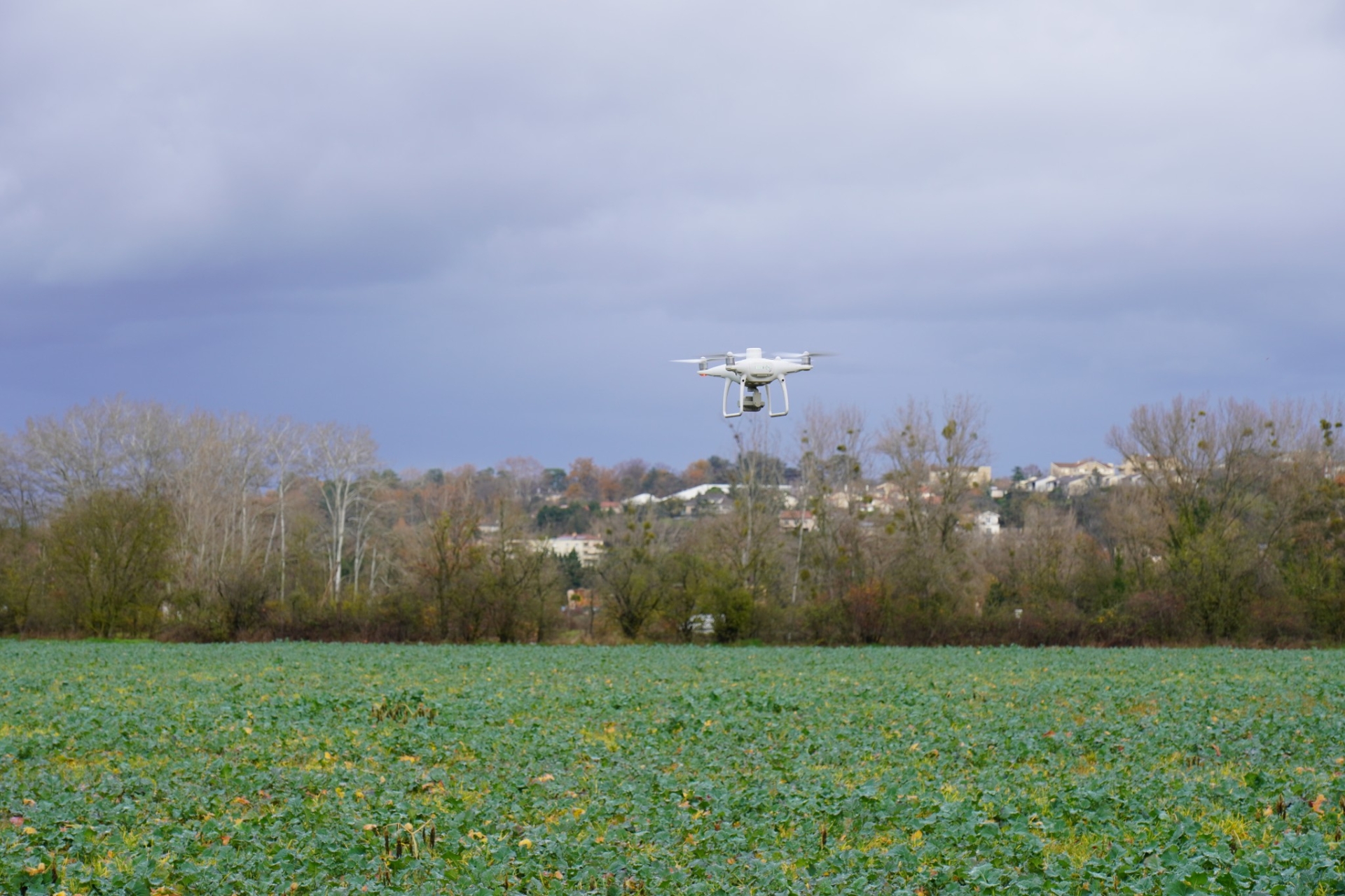 Optimiser l’apport d’engrais grâce au drone