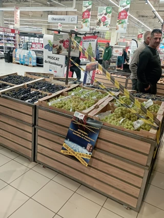 Opération stickage des producteurs de fruits