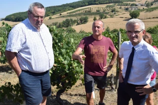 Sécheresse : la DDT en visite sur le terrain