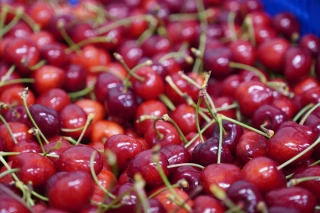 Devenez Fruiticulteur !