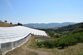 Production et valorisation davantage garanties