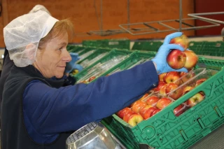Impact relatif pour Sicoly et Chambe Agri-fruits