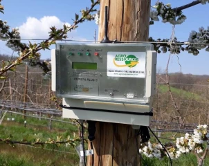 Au plus juste des besoins en eau de l’arbre