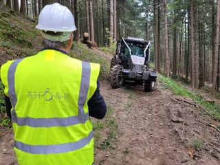 Le coeur battant des forêts