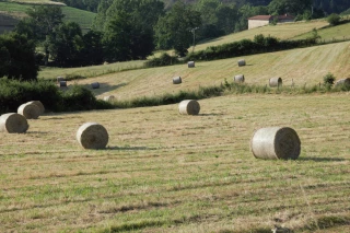 Changement climatique et prairies dégradées