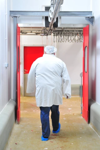 Deux abattoirs à l’avenir différent