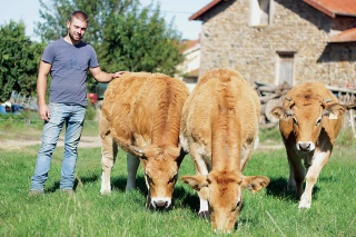 Ces éleveurs rhodaniens qui ne jurent que par l’aubrac