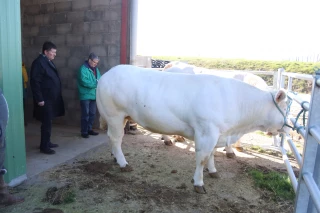 Un responsable bien-être animal dans chaque élevage en 2022
