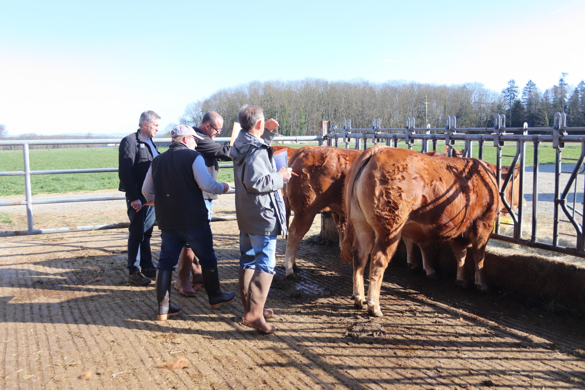 Comice de Feurs : le concours dans les fermes