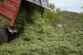 Ensilages : retour en images
