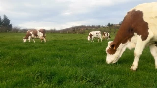 La Commission publie une liste de pratiques agricoles potentielles