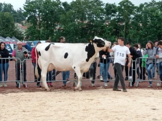 De nouveaux visages sur le ring du concours