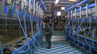 Service de remplacement : une activité importante en 2019