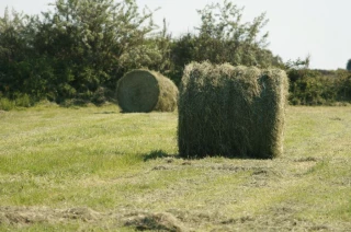 L’agriculture encouragée à réduire ses émissions de GES